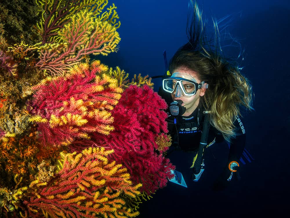 Scuba diving
